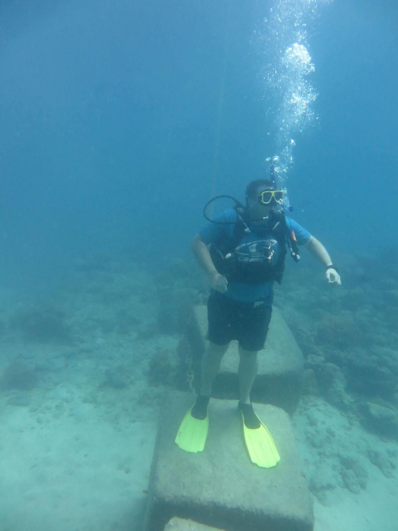 הוסטל קאירנס Reef Backpackers מראה חיצוני תמונה