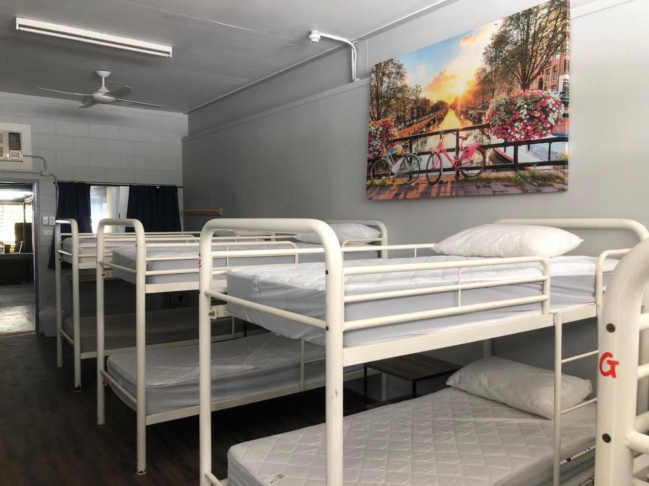 הוסטל קאירנס Reef Backpackers מראה חיצוני תמונה
