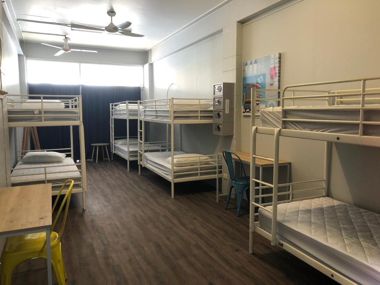 הוסטל קאירנס Reef Backpackers מראה חיצוני תמונה